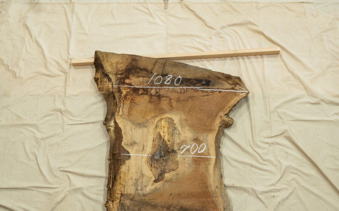 杉 1380mm
