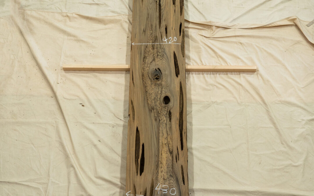 神代杉 3010mm
