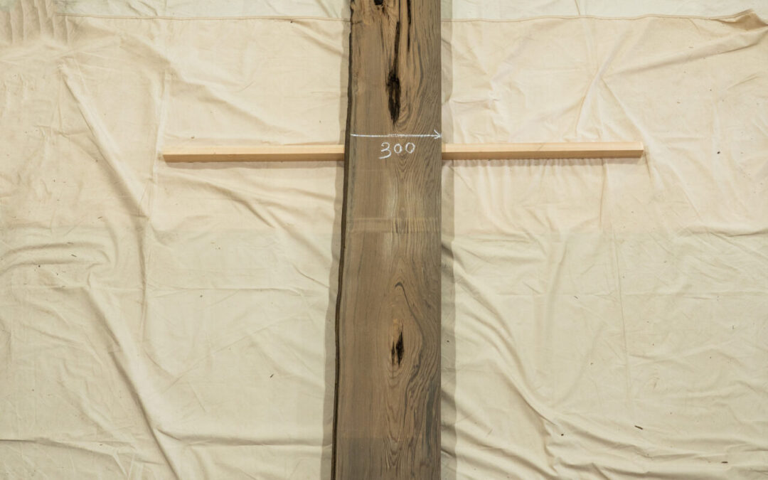 神代杉 2995mm