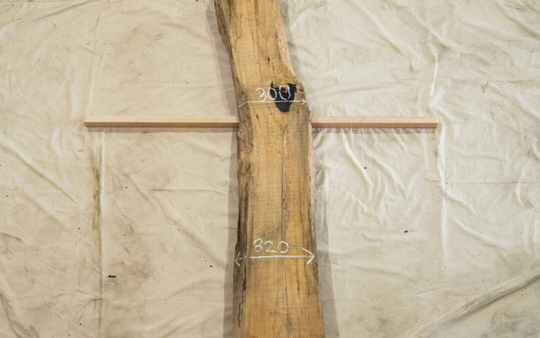 黒柿 2200mm