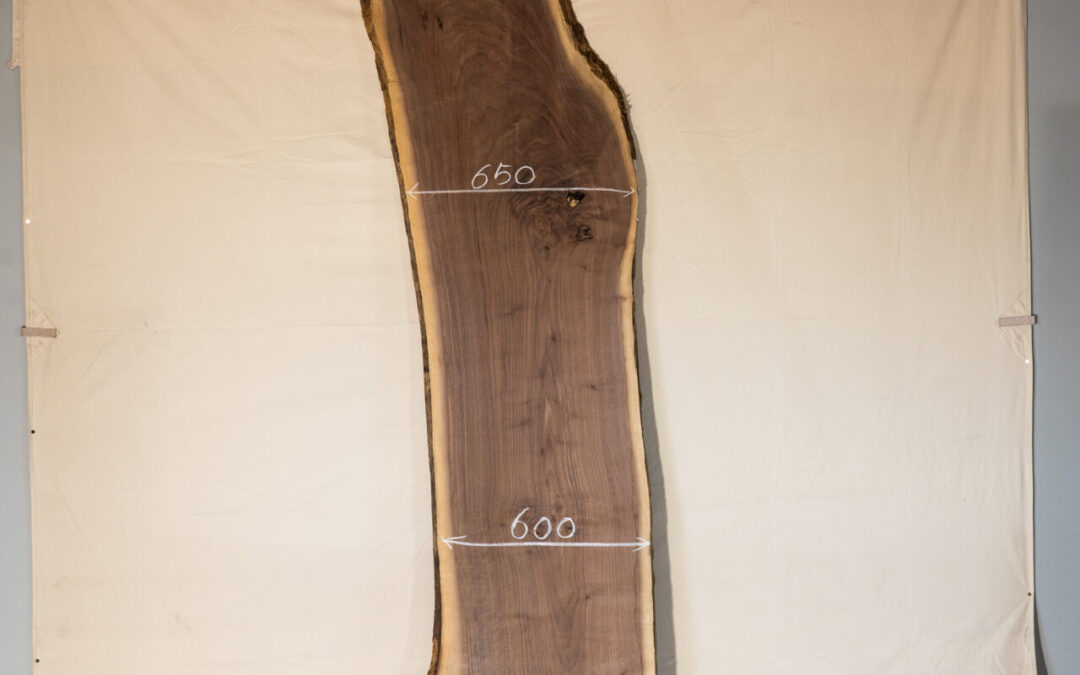 ウォールナット 2500mm