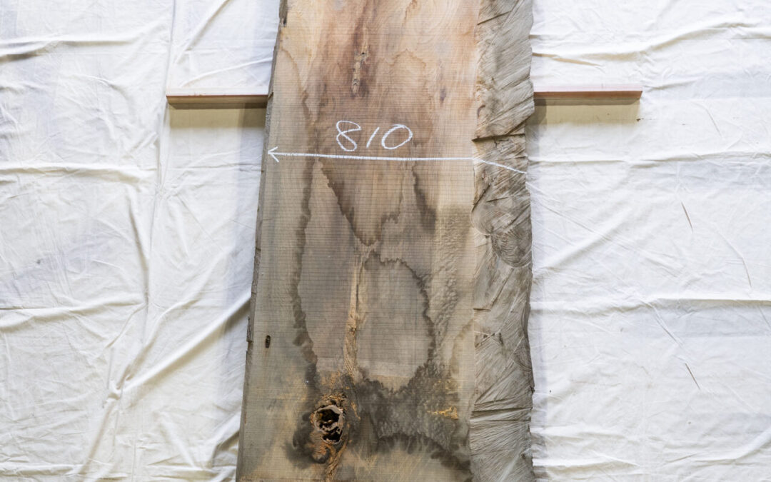 杉　3030mm