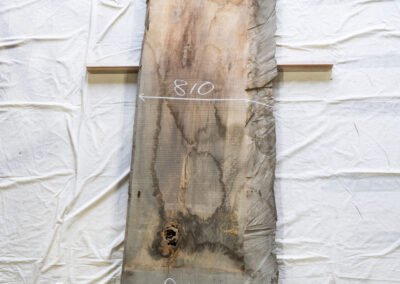 杉　3030mm