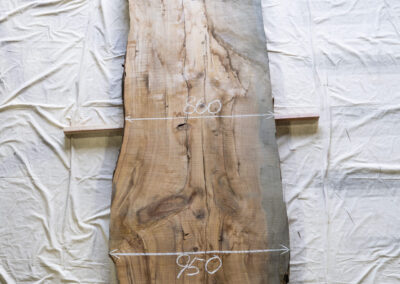 杉　2390mm