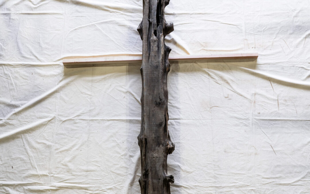 杉　2350mm