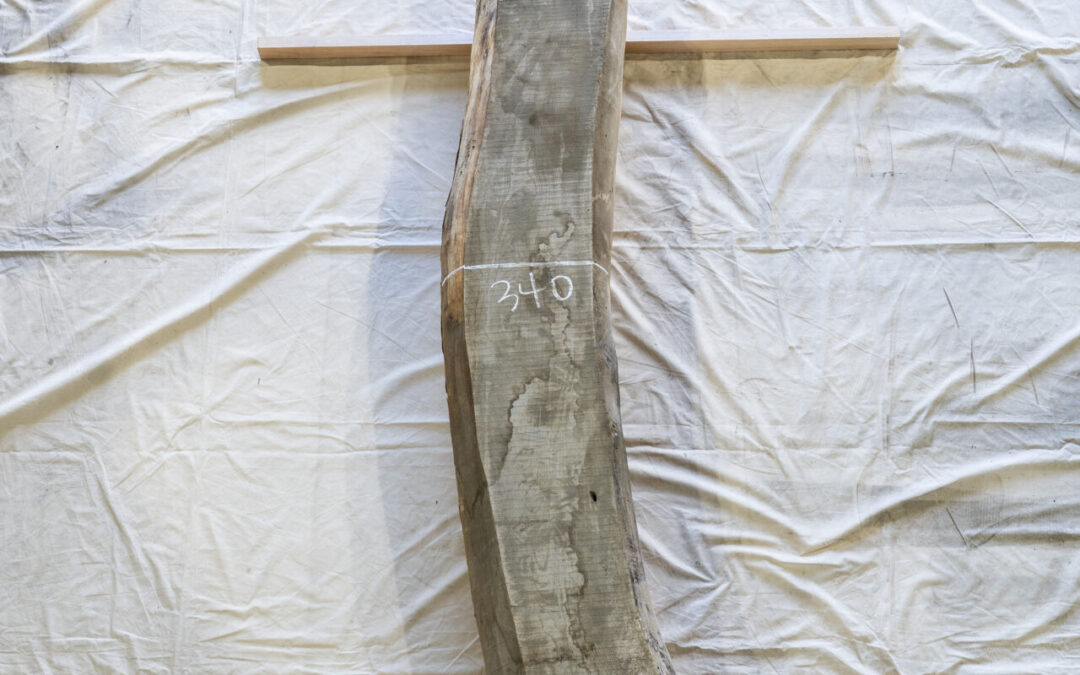 木種不明　2020mm