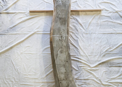 木種不明　2020mm