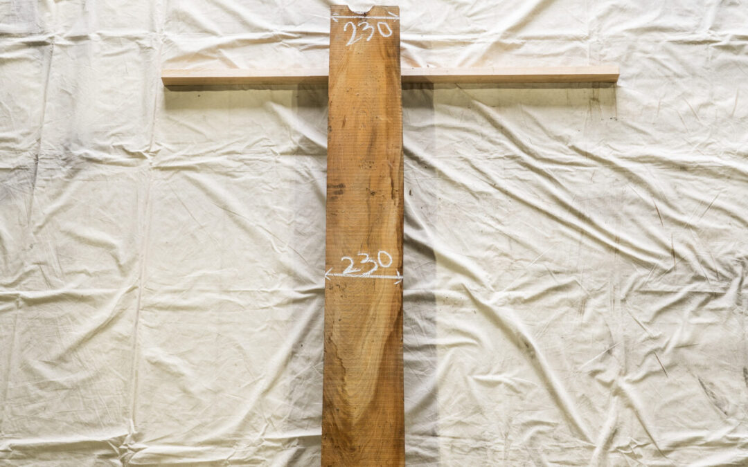 木種不明　1870mm