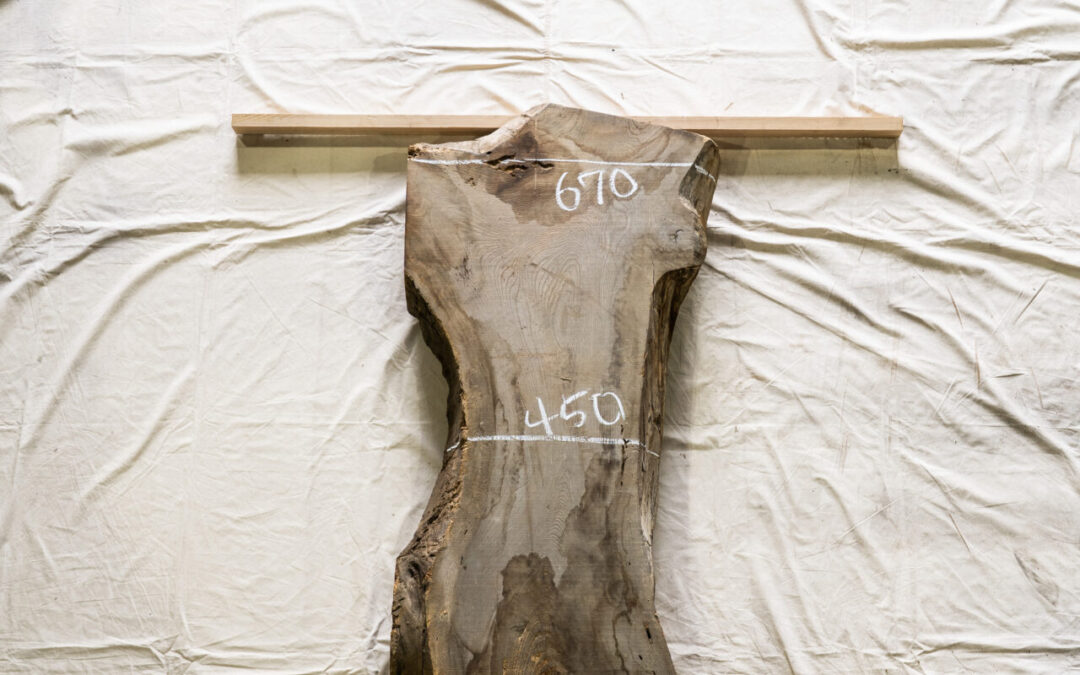 木種不明　1640mm