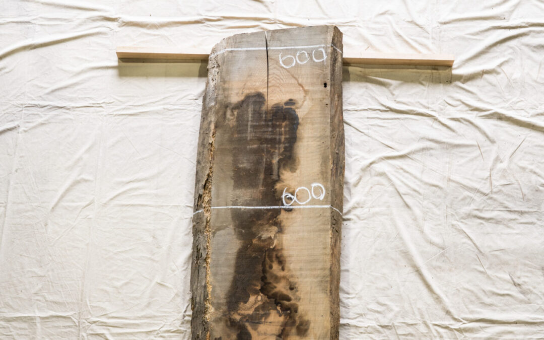 木種不明　1740mm