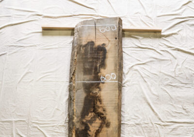 木種不明　1740mm