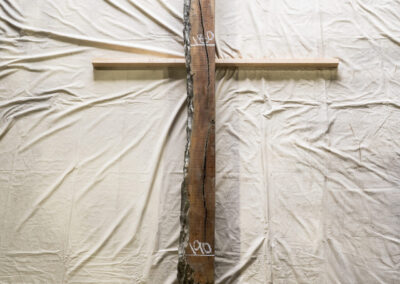 木種不明　3080mm