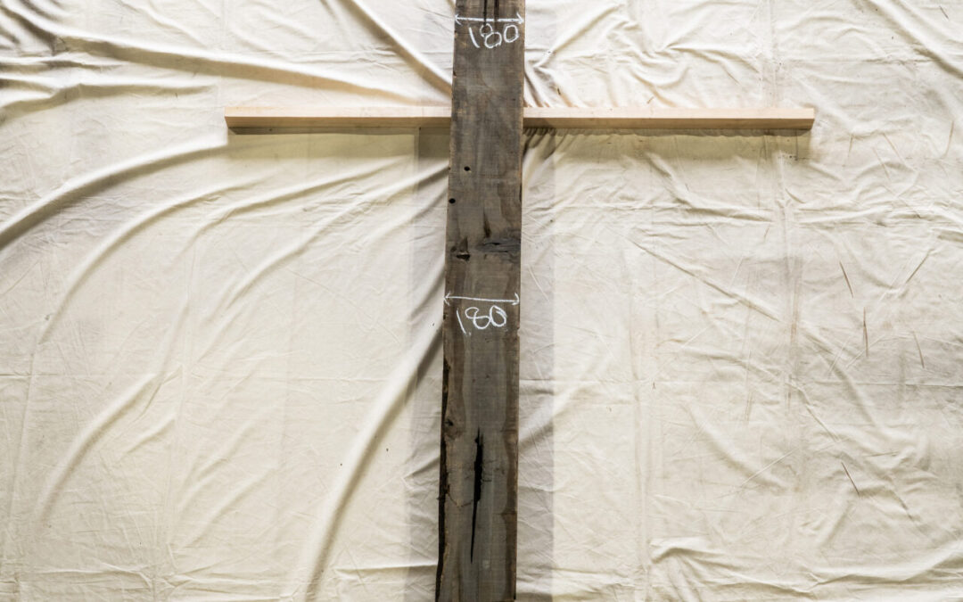 木種不明　2060mm