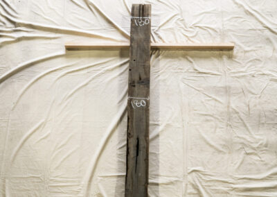 木種不明　2060mm