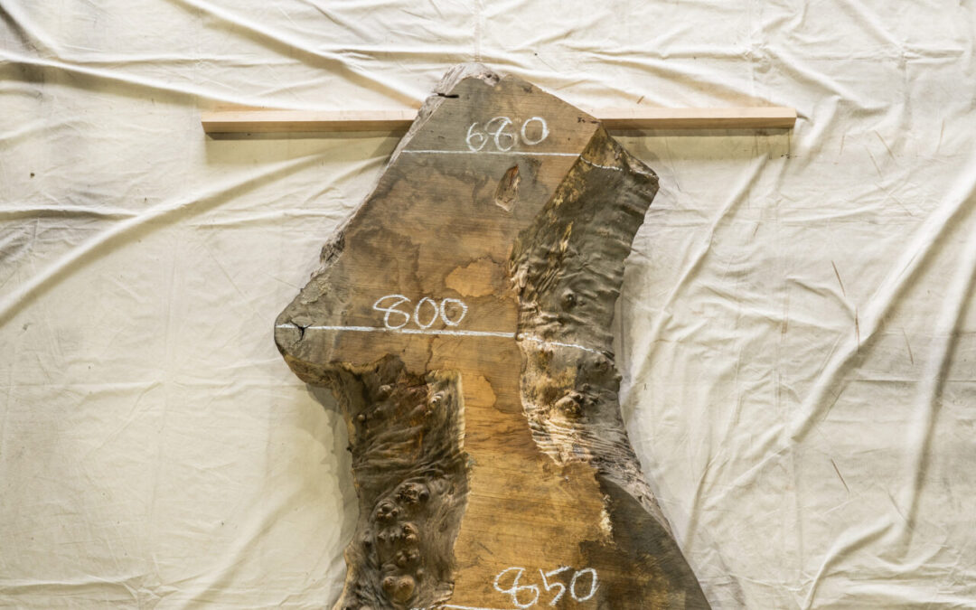 木種不明　1720mm