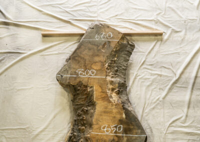 木種不明　1720mm