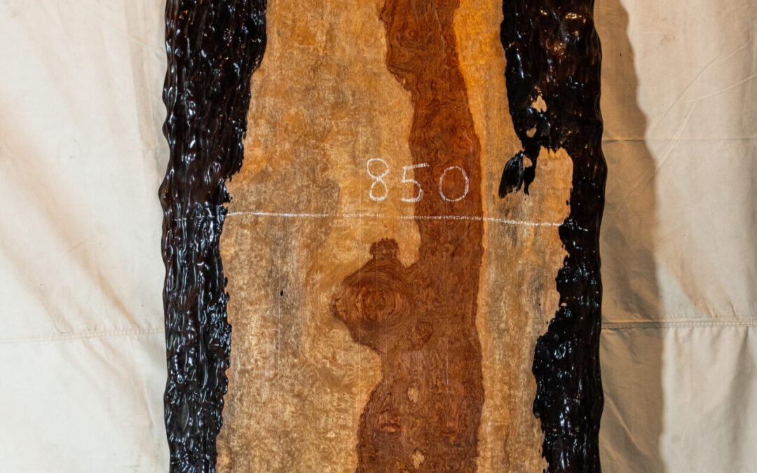 ブビンガ　1500mm